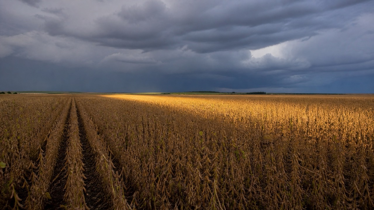 Prorrogação de Crédito Rural: Em Quais Situações o Produtor Pode Solicitar e o Que o MCR Estabelece
